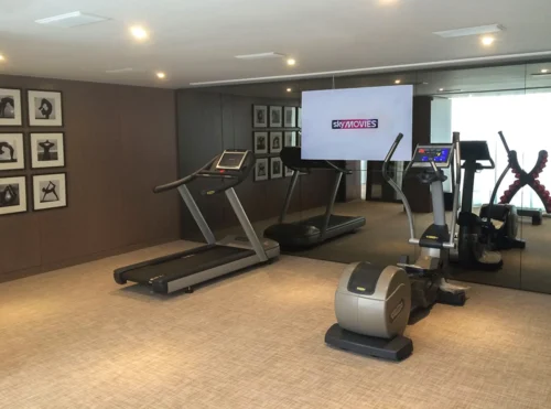 Gym Wall TV on