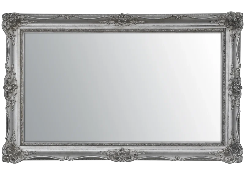 Surrey silver Mirror TV Frame