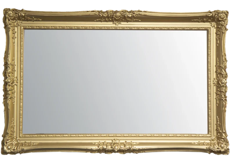 double swept gold Mirror TV Frame