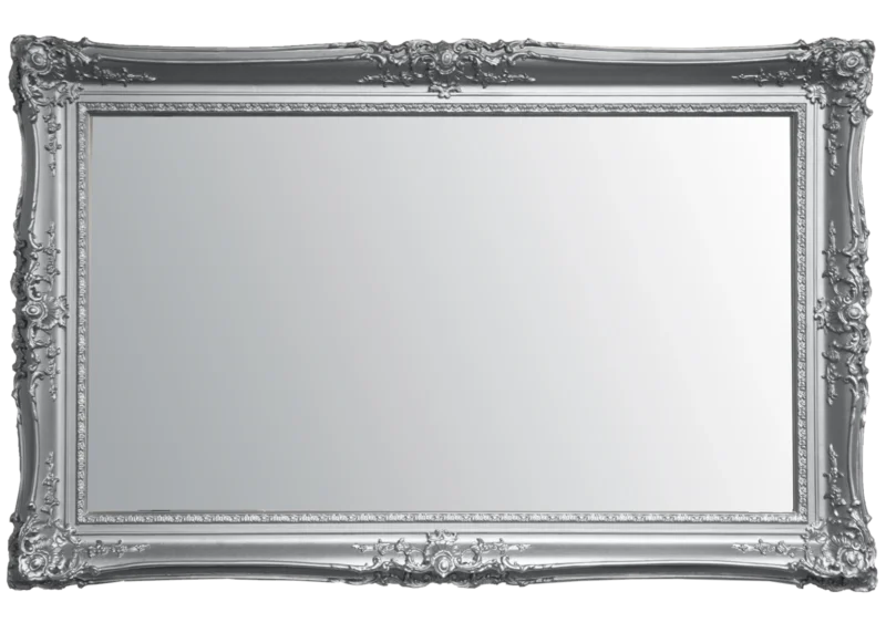 double swept silver Mirror TV Frame